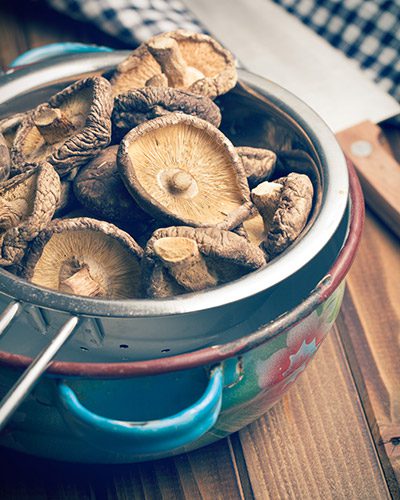 dried-mushrooms-400x500xp dried-mushrooms-400x500xp